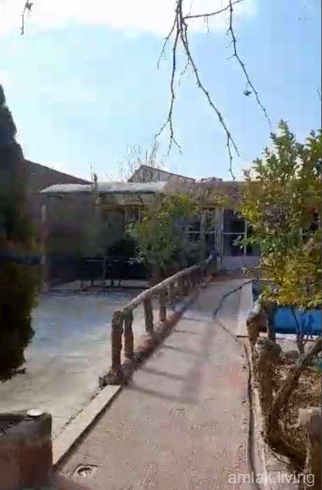 صورة 3