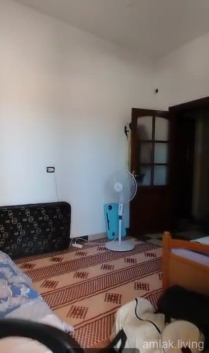 صورة 2