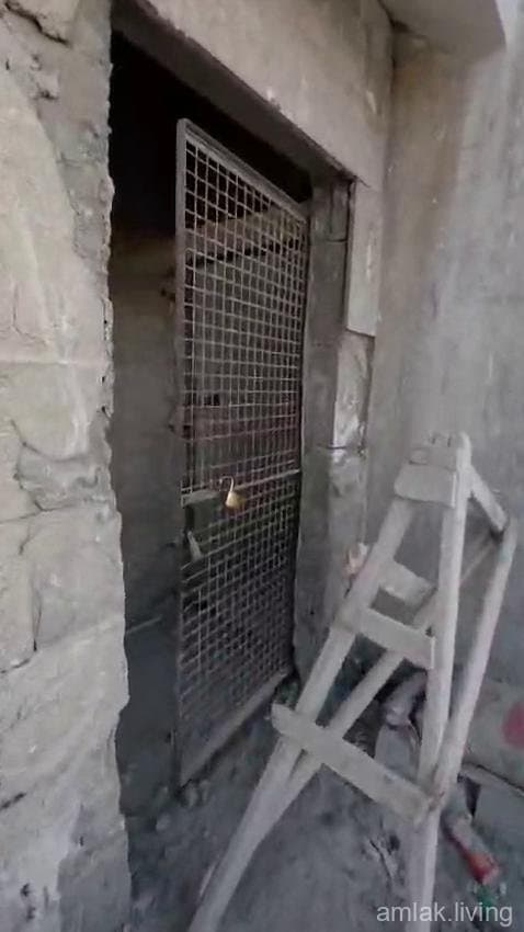 صورة 4