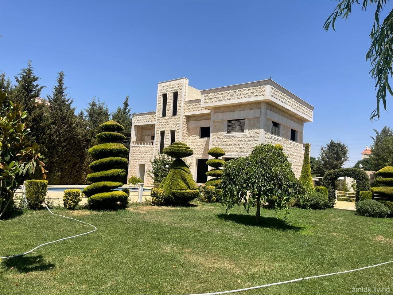 صورة 2