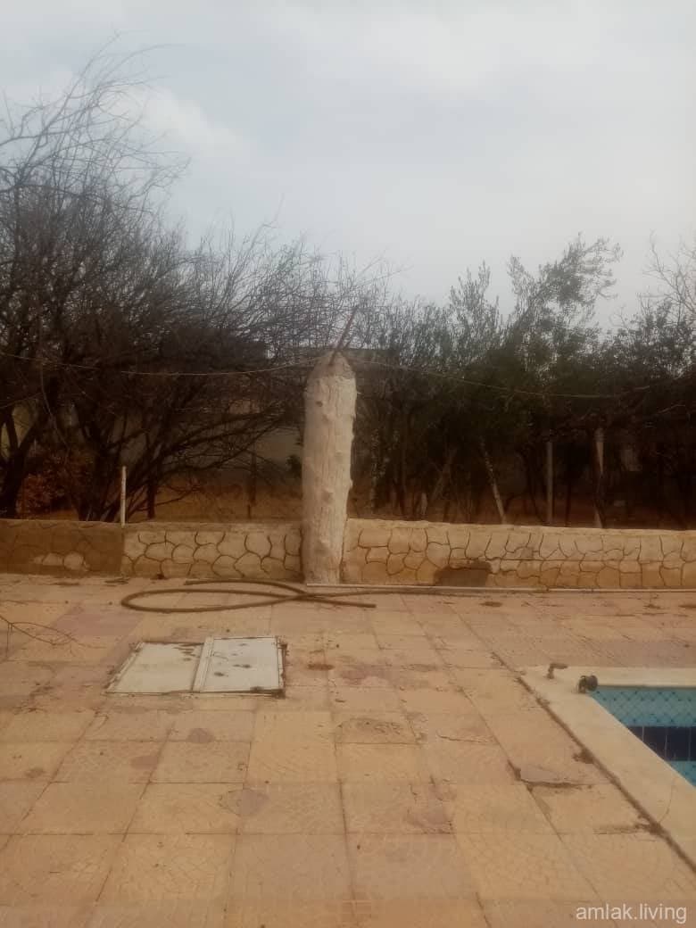 صورة 6