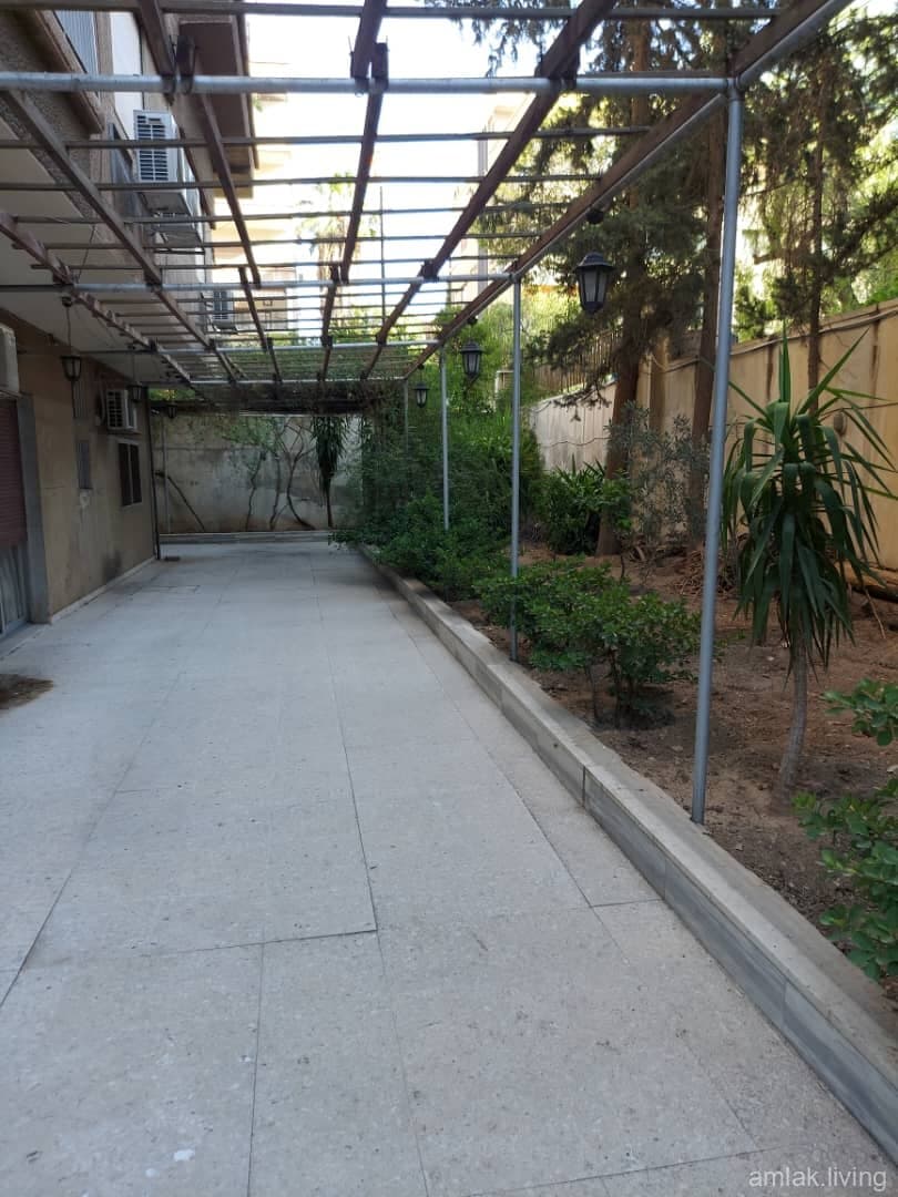 صورة 1