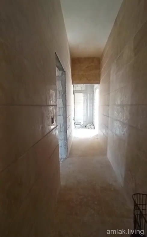 صورة 3