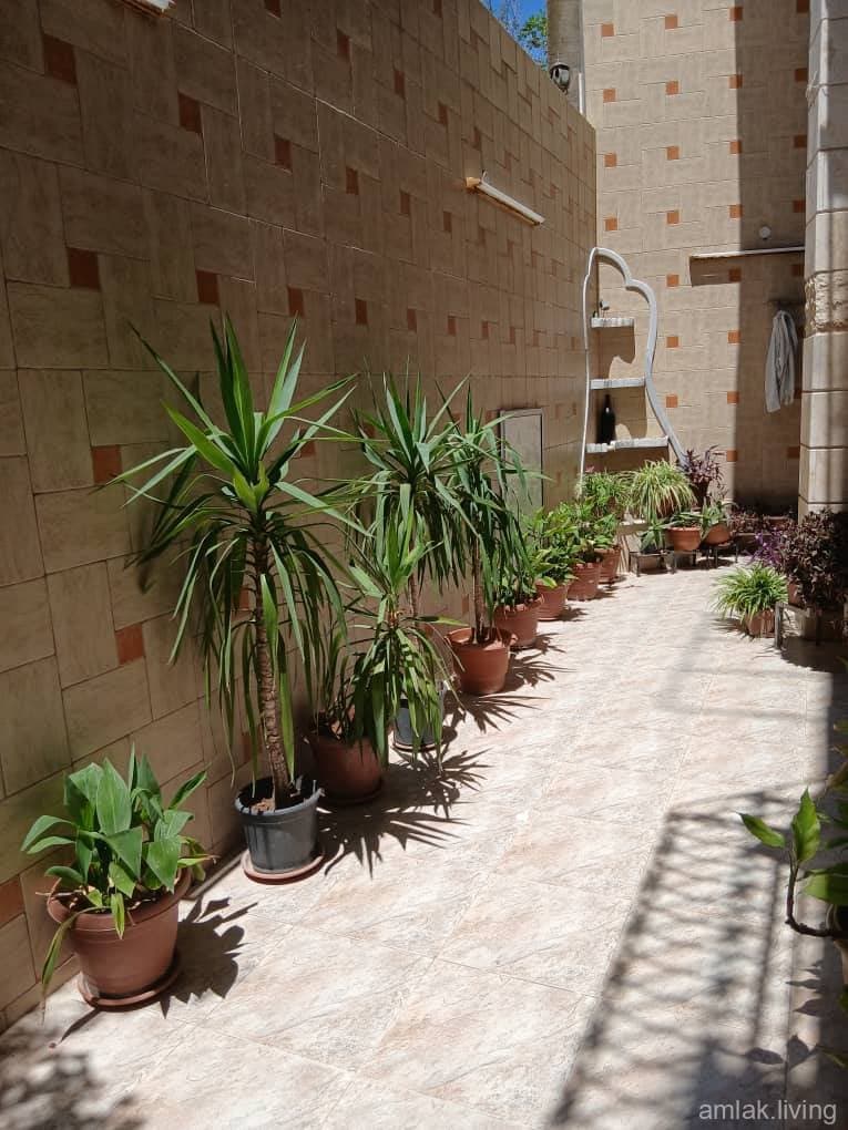 صورة 1