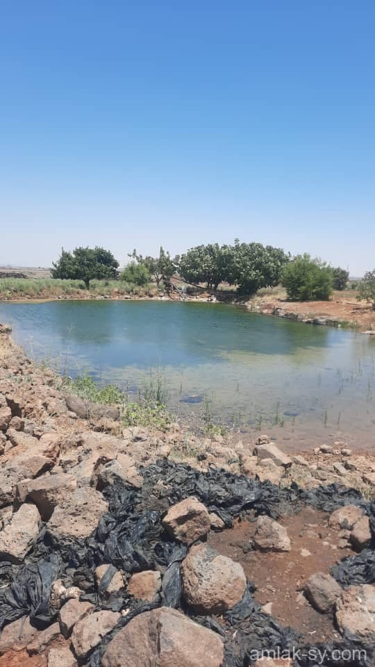 صورة 1