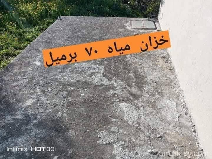 صورة 12