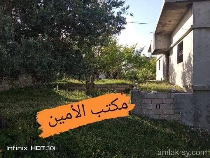 صورة 4