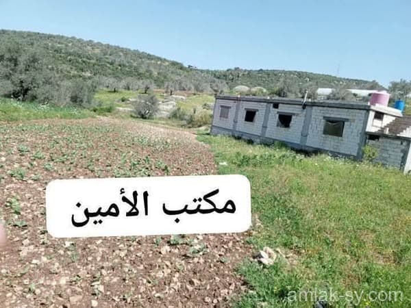 صورة 3