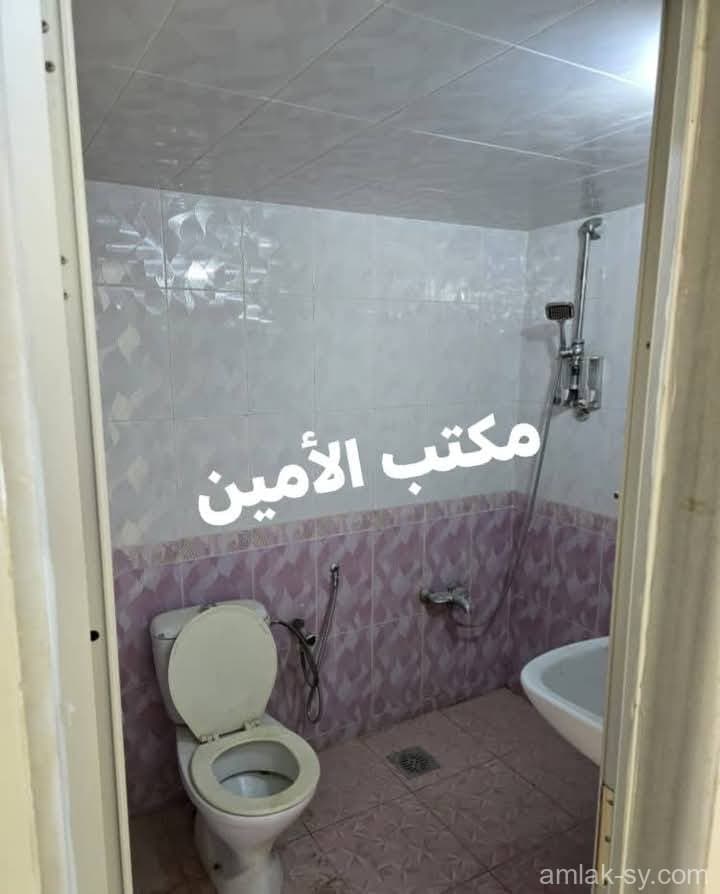 صورة 7