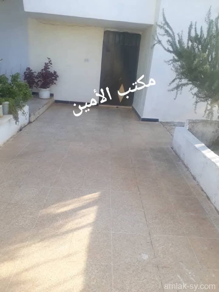 صورة 9
