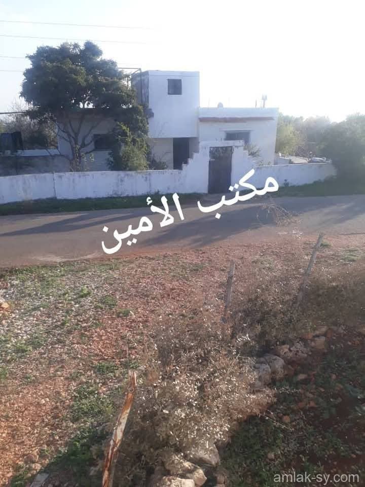 صورة 5