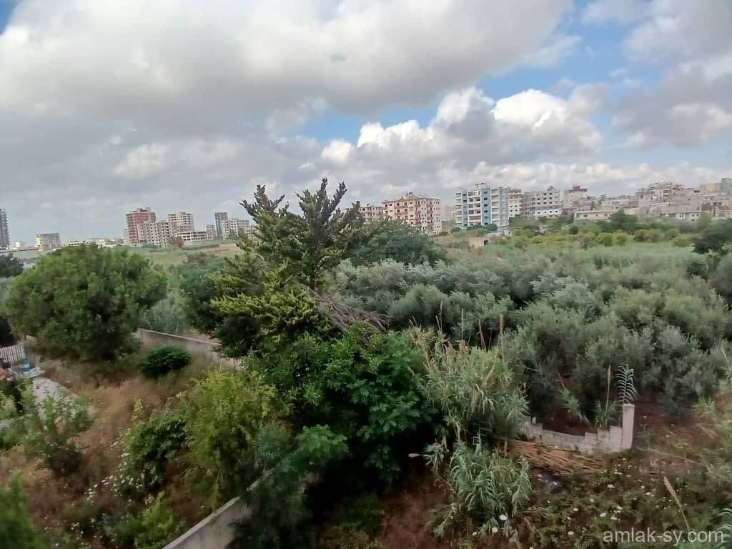 صورة 10