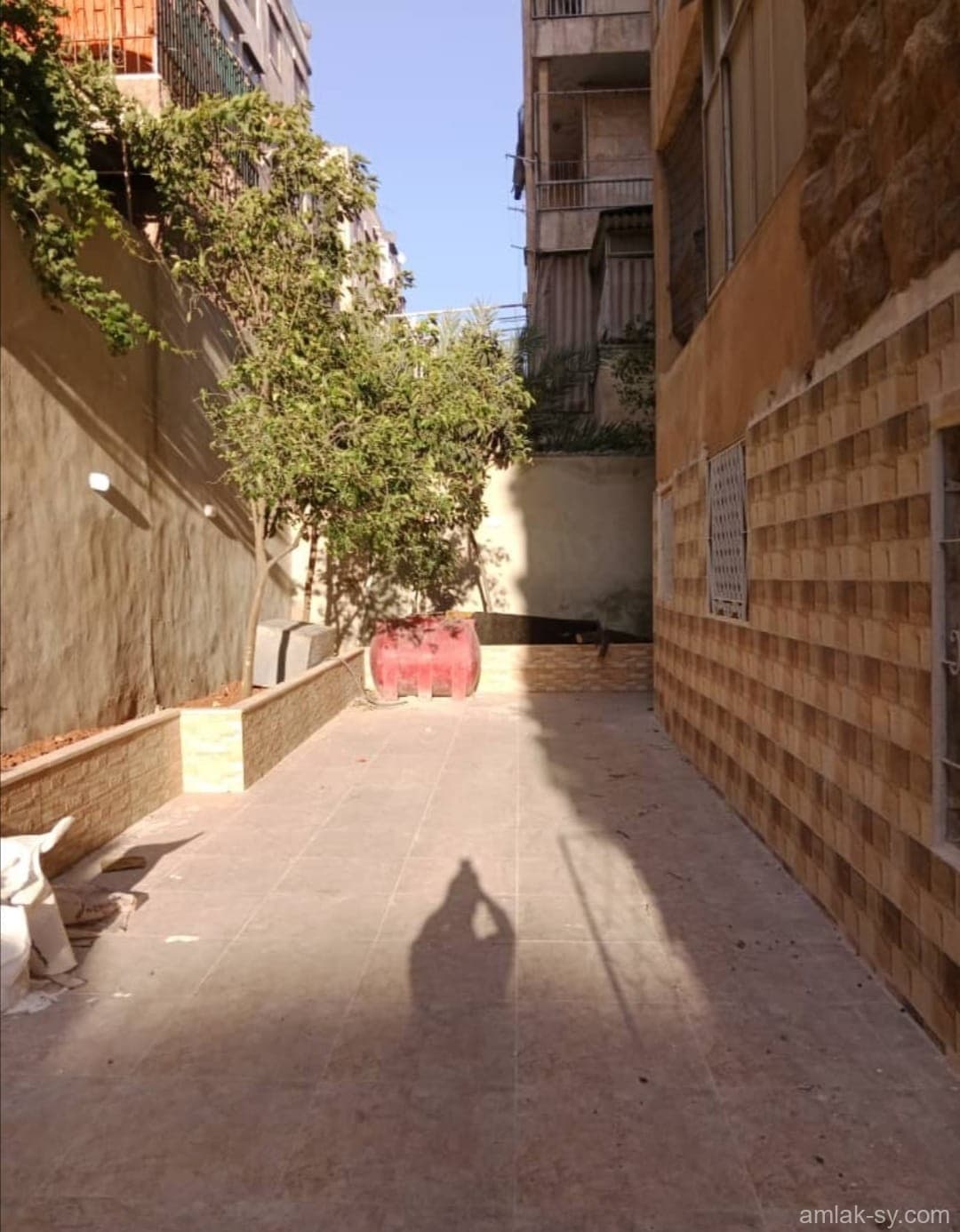 صورة 11