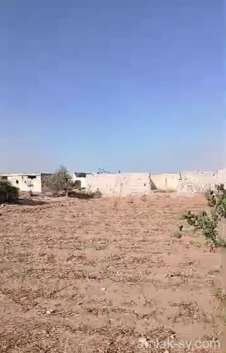 صورة 1