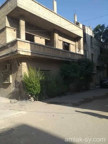 صورة 1