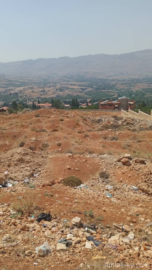 صورة 1