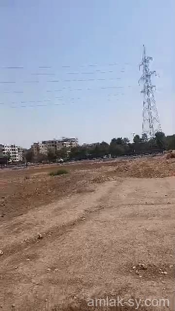 صورة 3