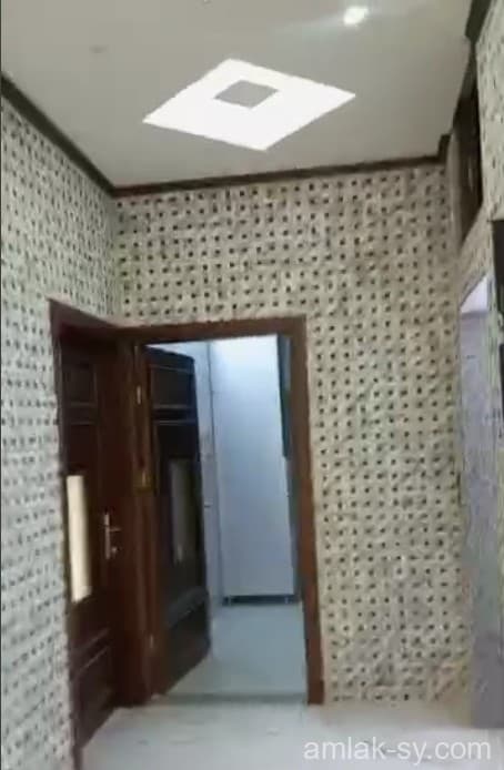 صورة 2
