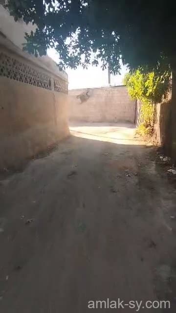 صورة 2