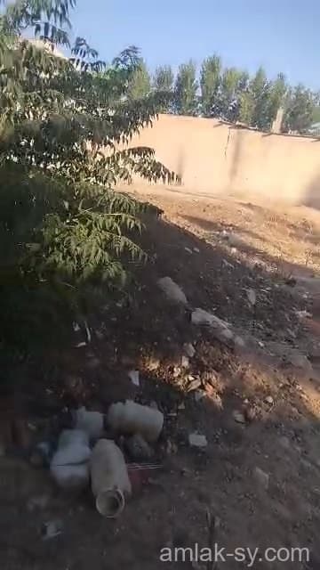 صورة 1