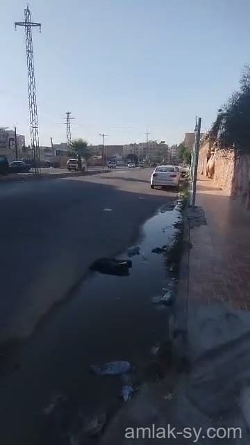 صورة 3