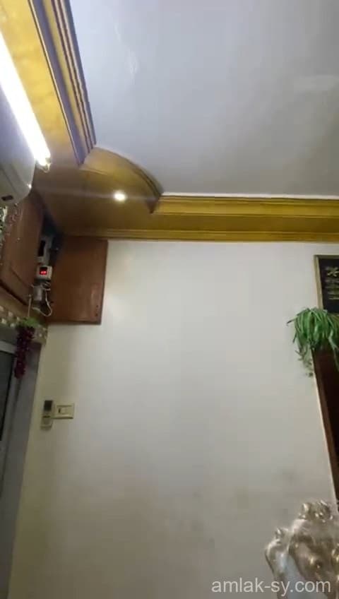 صورة 2