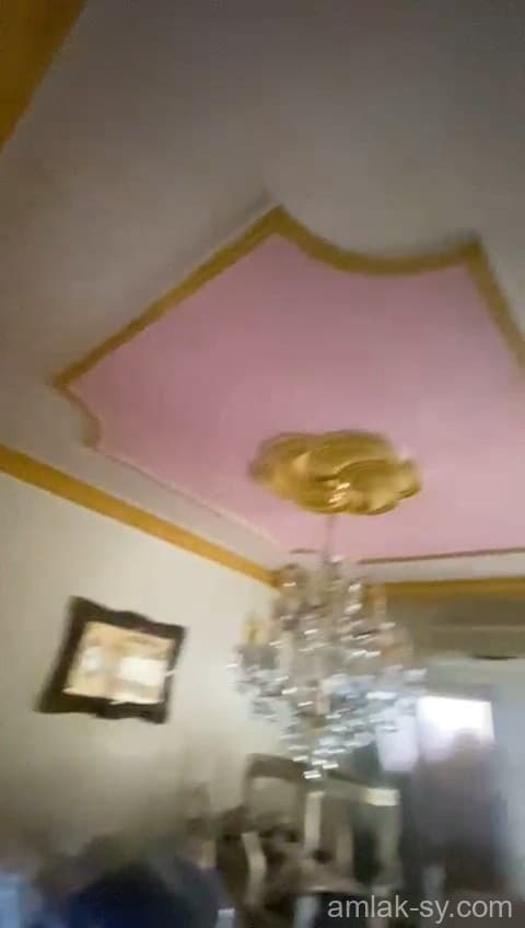 صورة 3