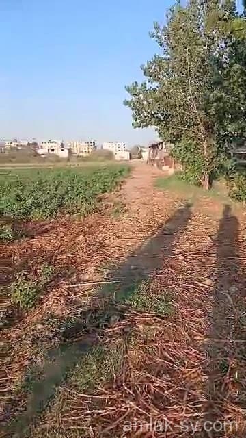 صورة 3