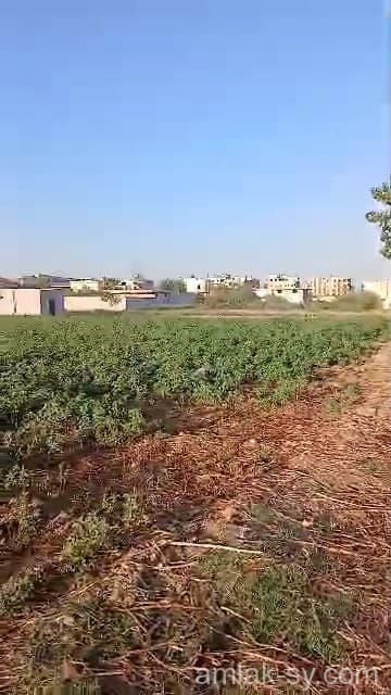 صورة 1