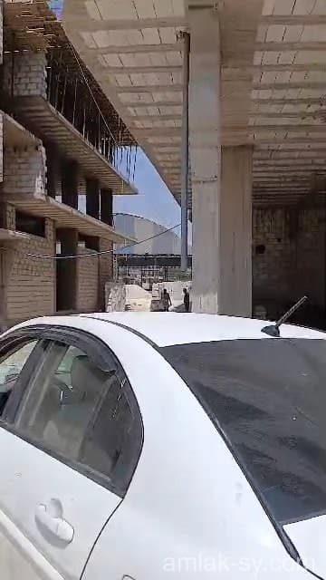 صورة 3