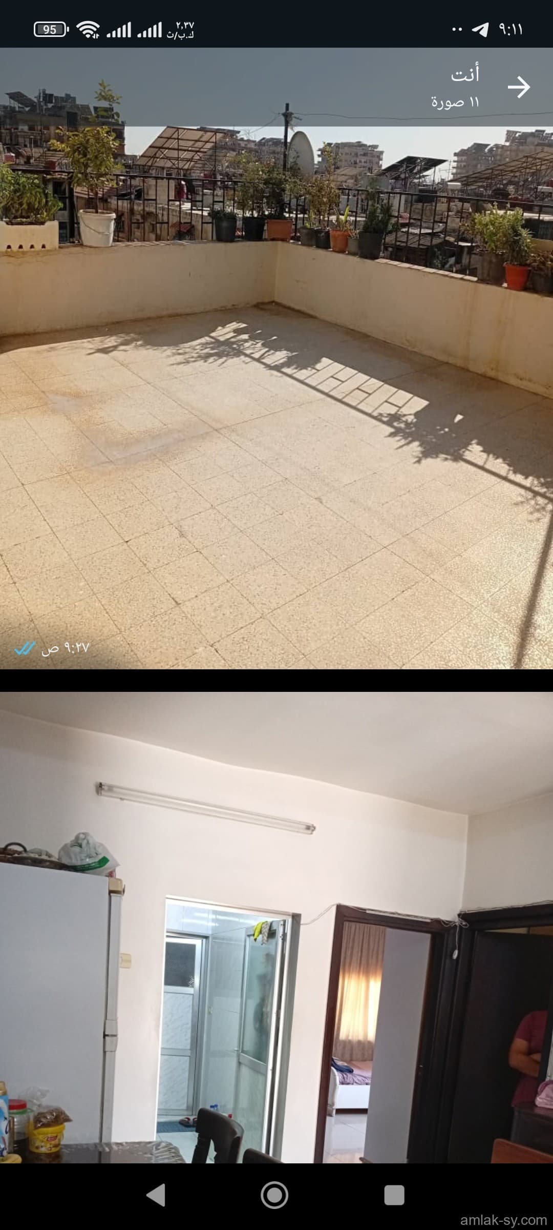 صورة 11