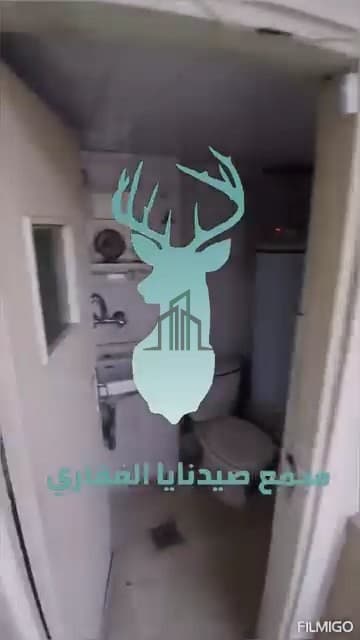 صورة 3
