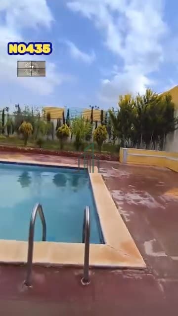 صورة 2