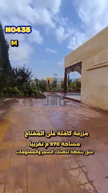صورة 1