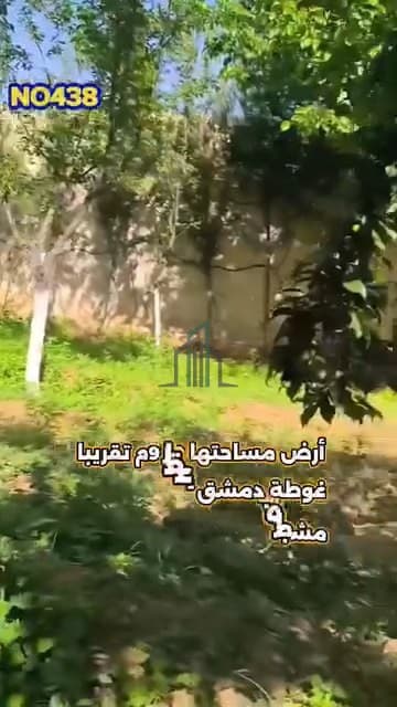 صورة 2