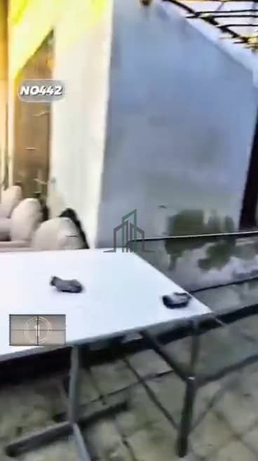 صورة 3
