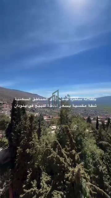 صورة 1