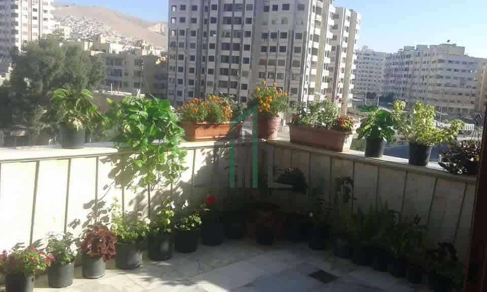 صورة 2