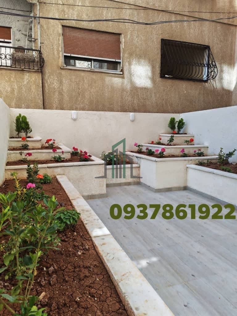 صورة 1