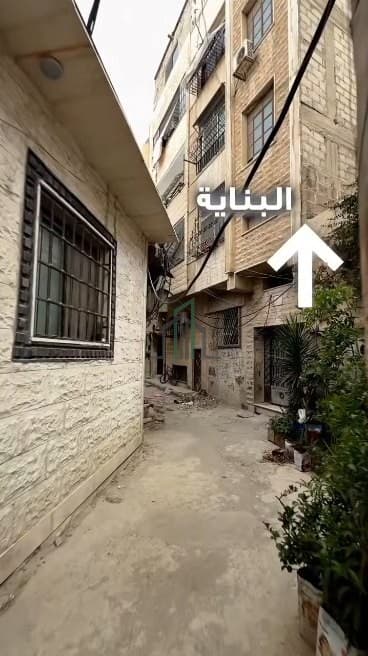 صورة 2