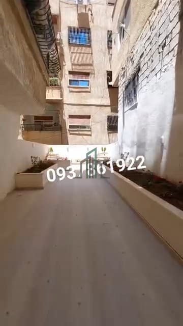 صورة 3