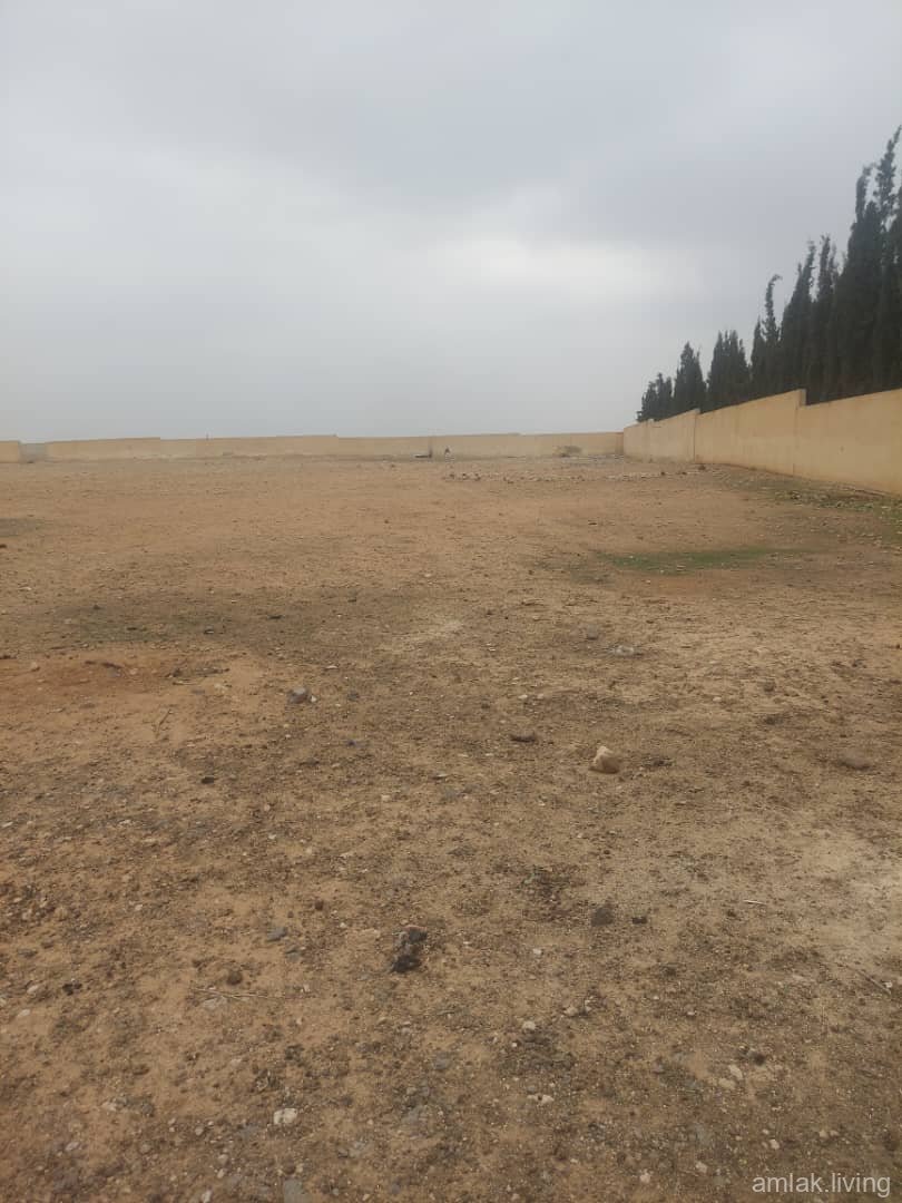 صورة العقار