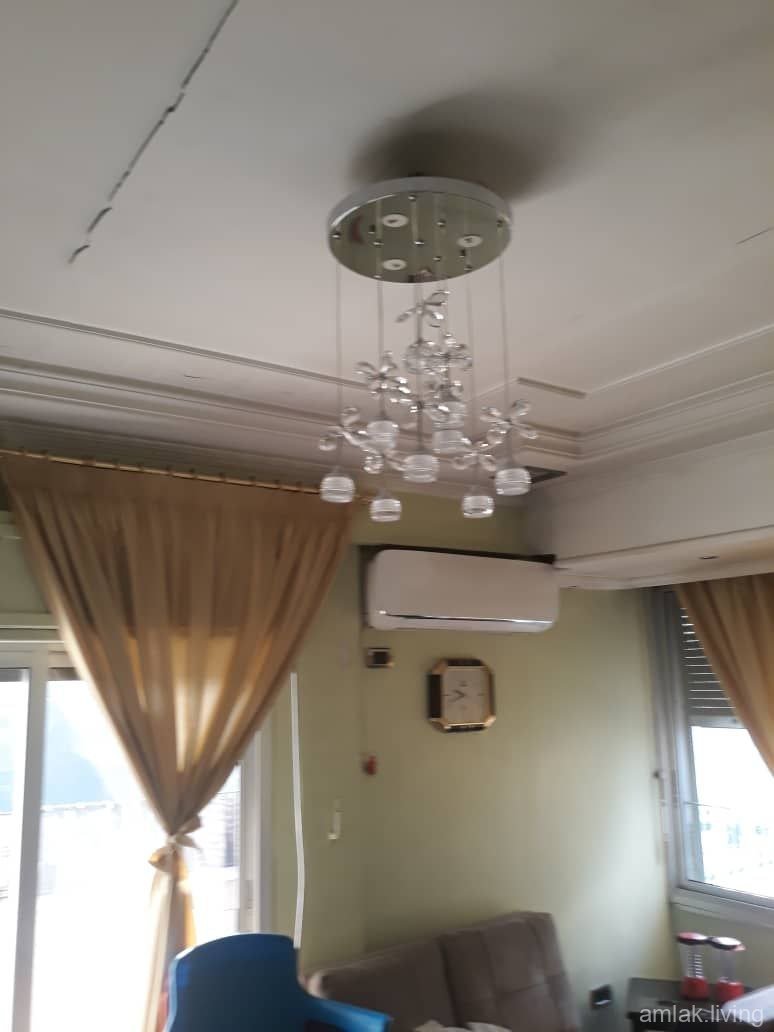 صورة العقار