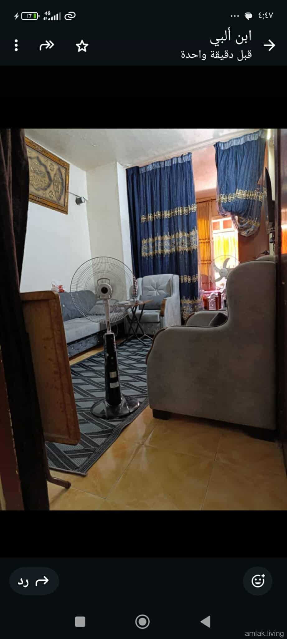 صورة العقار