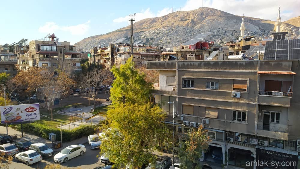 صورة العقار