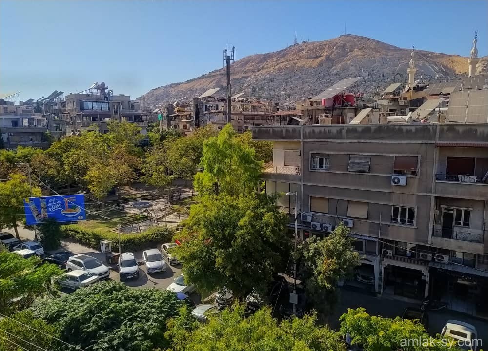 صورة العقار
