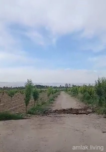 صورة العقار