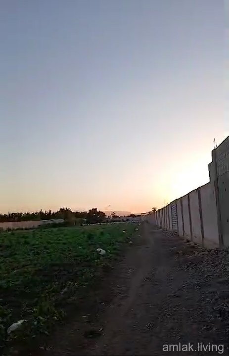 صورة العقار