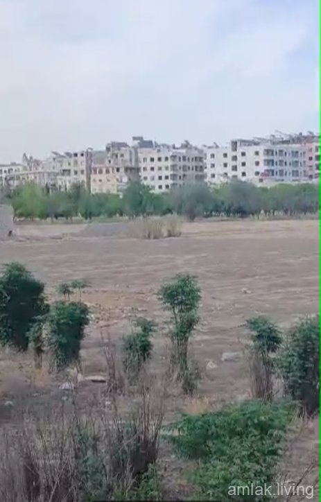 صورة العقار