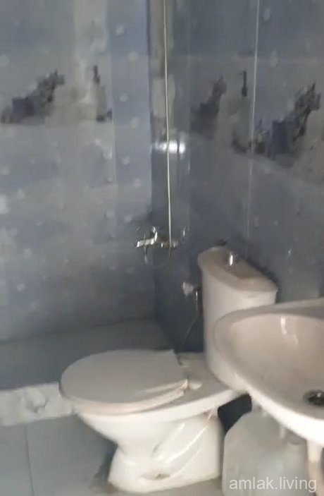 صورة العقار